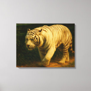 Majestad del tigre blanco - Impresión de arte de v