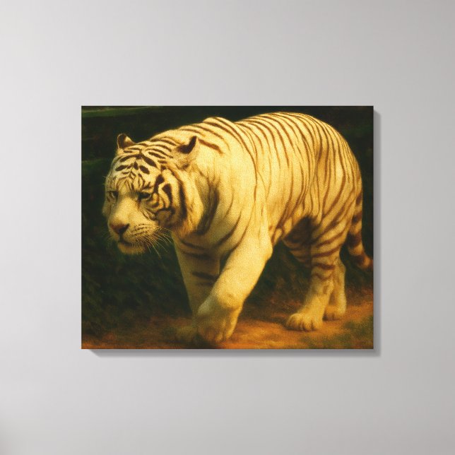 Majestad del tigre blanco - Impresión de arte de v (Anverso)
