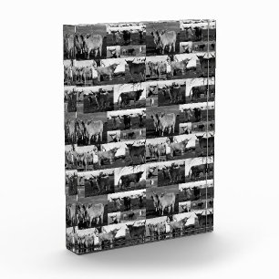 Majestad Monocroma: Un Collage de fotos de vaca en