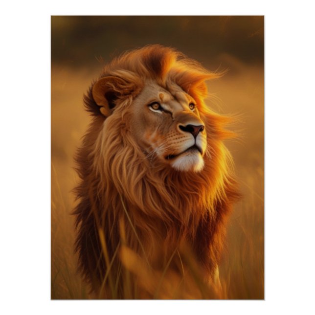 Majestic Golden Lion Sunset Glossy Poster (Anverso)