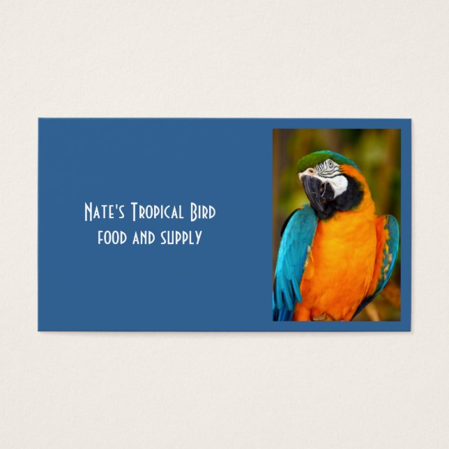 Majestic Macaw (Frente)