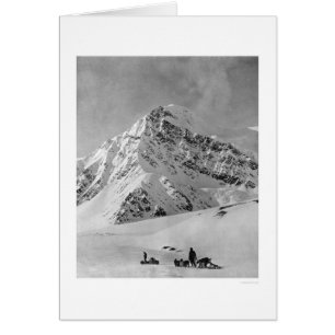 Majestic Monte McKinley 1908