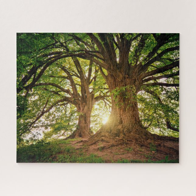 Majestic Trees Jigsaw Puzzle (Horizontal)