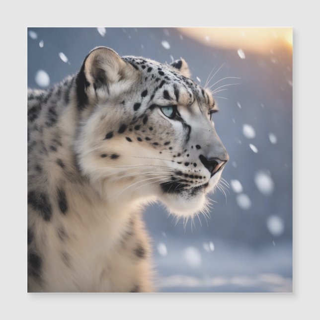 Majestuoso leopardo de nieve corazón de la torment (Anverso)