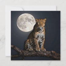 Majestuoso Leopardo y Luna Llena en Blanco