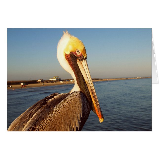 Make Me Rubor (Anverso (Horizontal))