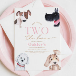 Mal dos invitaciones de cumpleaños a los tontos