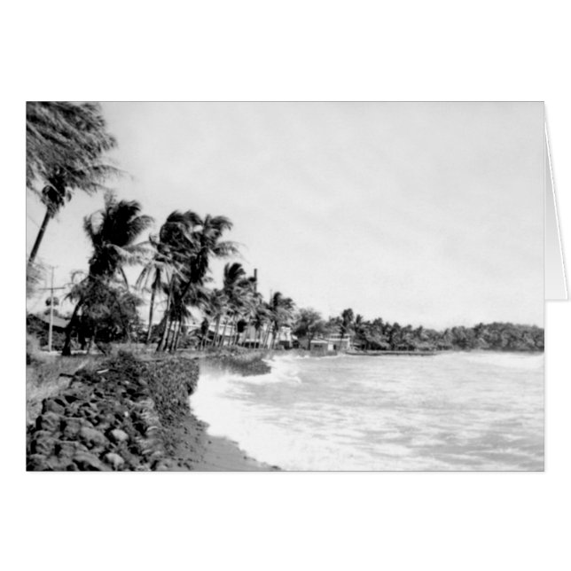 Mala Beach Lahaina Maui Hawaii (Anverso (Horizontal))