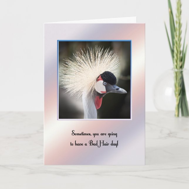 Mala tarjeta de aliento para el día del pelo. (Anverso)