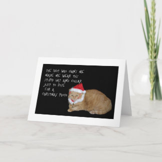 Mala tarjeta de Navidad gorda del gato de Santa
