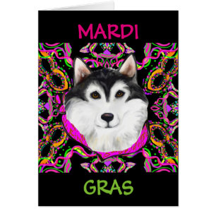 MALAMUTE ALASKAN - MARDI GRAS