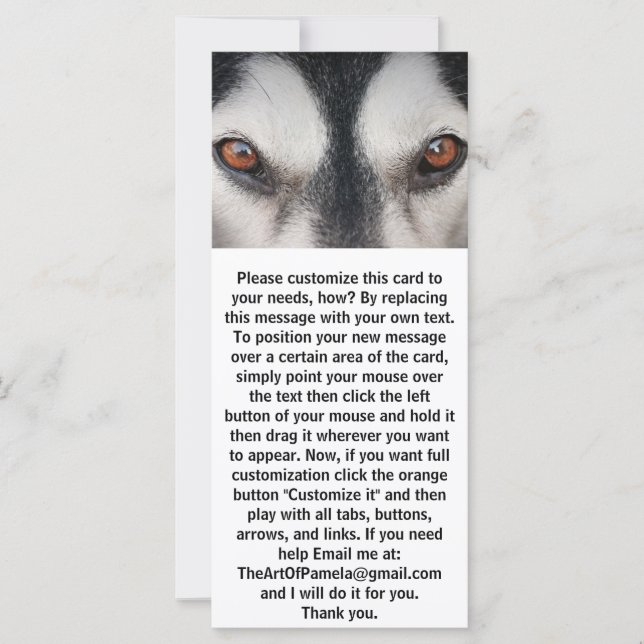 Malamute Dog Brown Eyes (Anverso)
