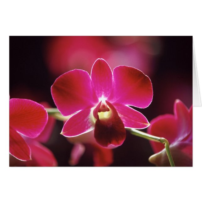 Malasia, Orquídea (Anverso (Horizontal))