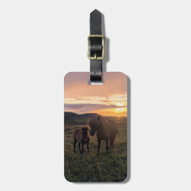 Maletas Caballos islandeses - etiqueta para el equipaje (Frente Vertical)