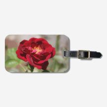 Etiqueta anticuada para el equipaje rosa rojo