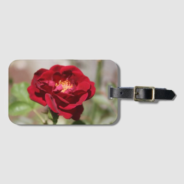 Maletas Etiqueta anticuada para el equipaje rosa rojo (Anverso horizontal)