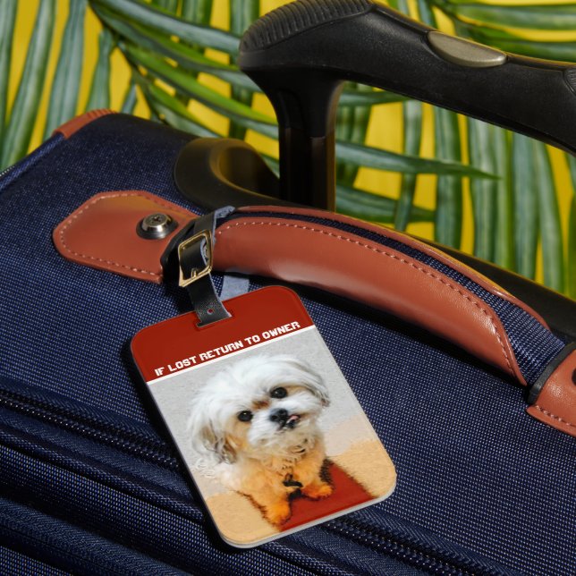 Maletas Etiqueta de Equipaje para Perro Malshi (Anverso In situ 1)