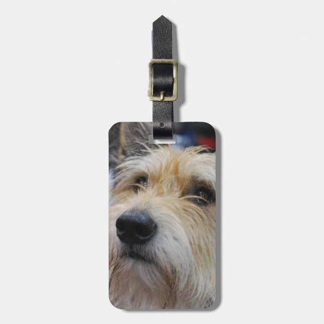 Maletas Etiqueta del equipaje - modificada para requisitos (Frente Vertical)