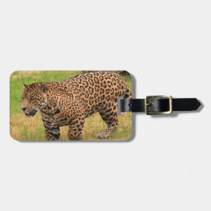 Maletas Etiqueta del equipaje - modificada para requisitos