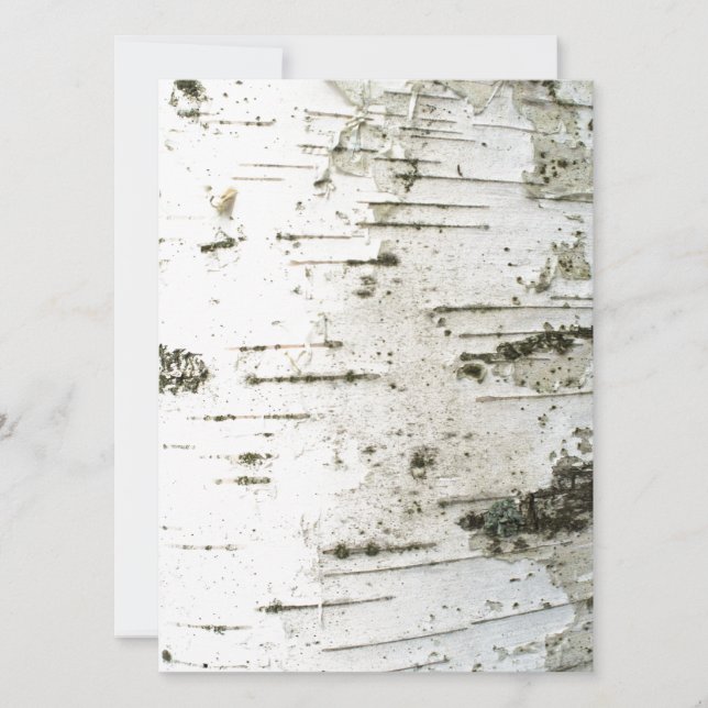 Maletero de Birch (Anverso)