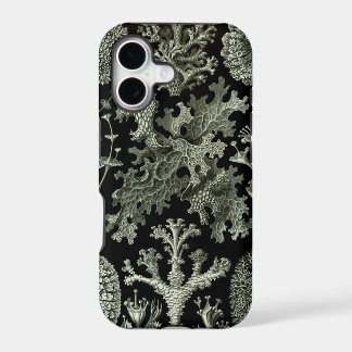 Maletín Haeckel iPhone - Lichenes