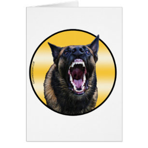 "Maligator" belga de ladrido de Malinois