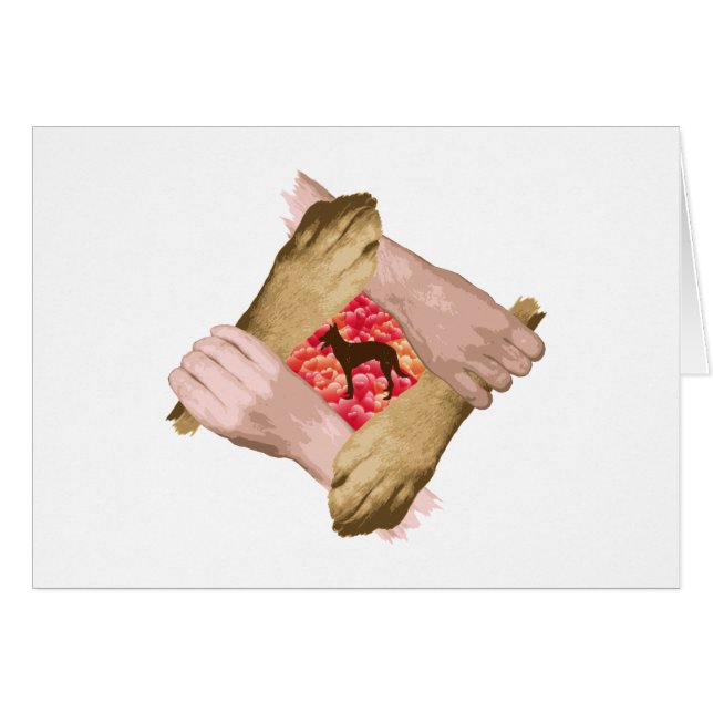 Malinois belga (Anverso (Horizontal))