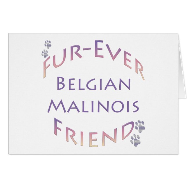 Malinois Furever de Bélgica (Anverso (Horizontal))