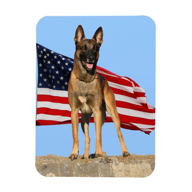 Malinois y el imán flexible Bandera (Vertical)