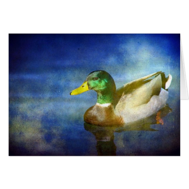 Mallard (Anverso (Horizontal))