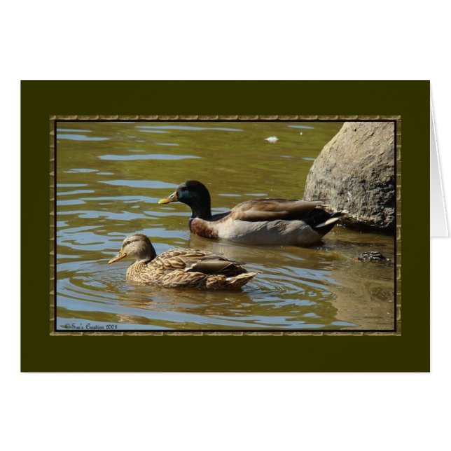 Mallard Duck Pair (Anverso (Horizontal))