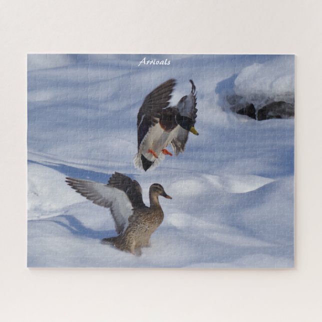 Mallard Ducks sale del rompecabezas de Jigsaw (Horizontal)