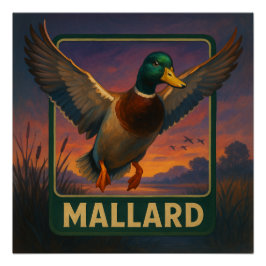 Mallard Poster