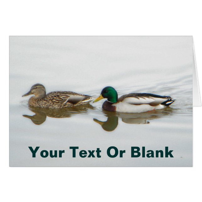 Mallards (Anverso (Horizontal))