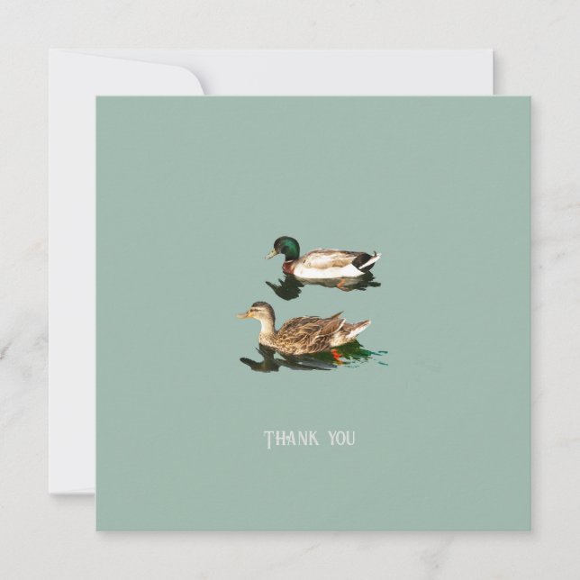 Mallas de los Ducks (Anverso)