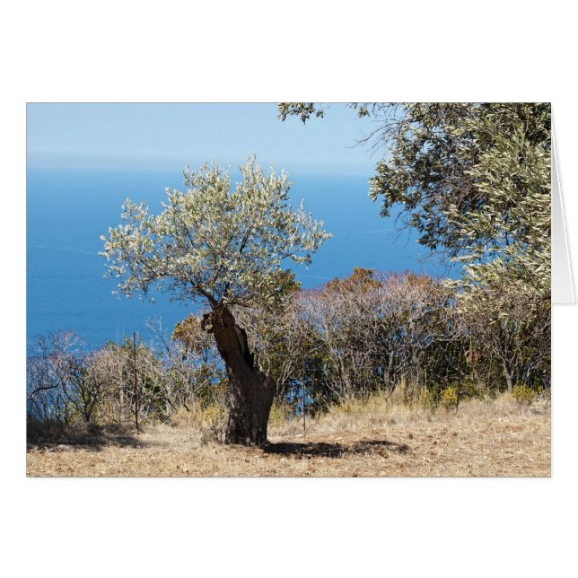 Mallorca (Anverso (Horizontal))