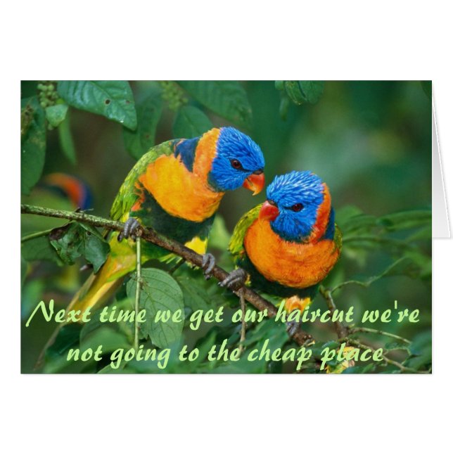 Malo pelo de pájaro (Anverso (Horizontal))