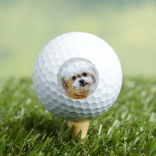 Malshi Con Pelotas De Golf Con Texto