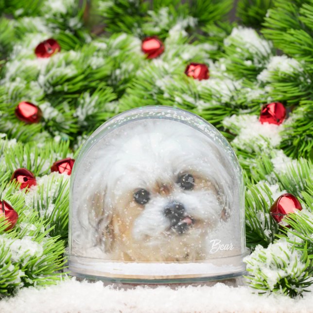 Malshi Snow Globe (Navidad)