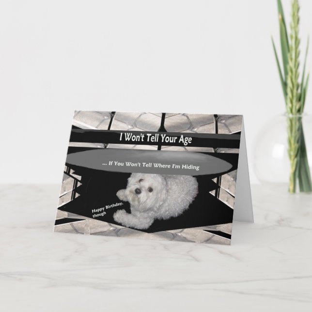 Maltés bajo la tarjeta de humor de cumpleaños de m (Anverso)