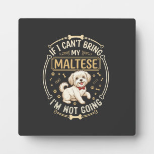 Maltés No Va Perro Corbata Roja Hueso Marco