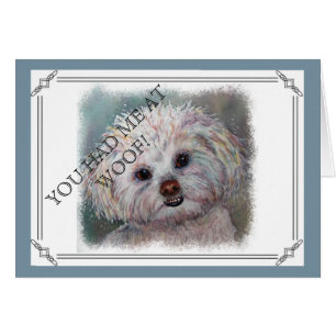 MALTESE YORKIE MIX BLANCO DULCE