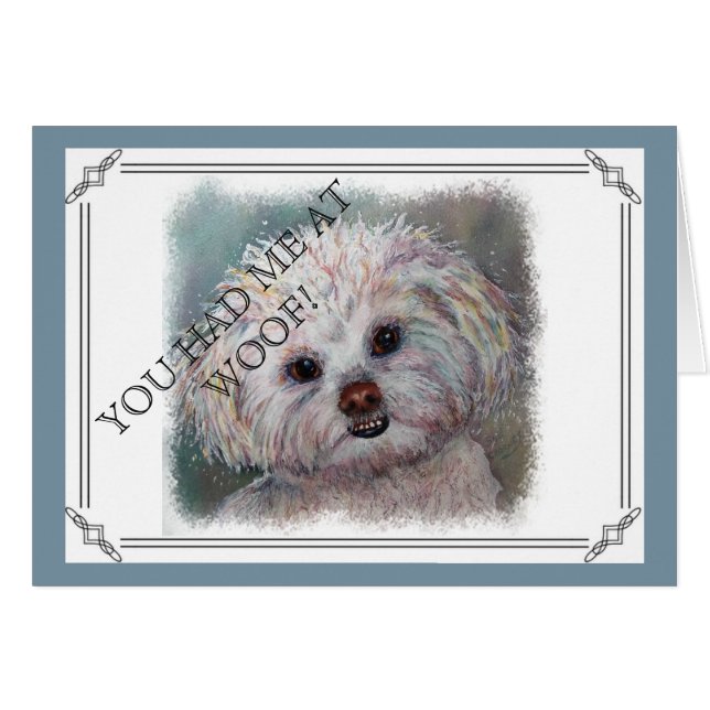MALTESE YORKIE MIX BLANCO DULCE (Anverso (Horizontal))
