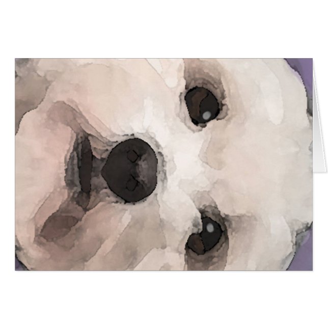 Maltipoo (Anverso (Horizontal))