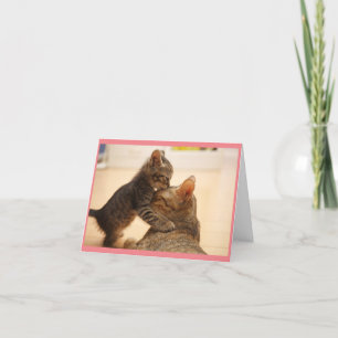 Mama Cat Con Tarjeta De Saludo De Gatito