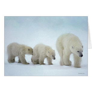 Mamá de Fauna-Siguiente