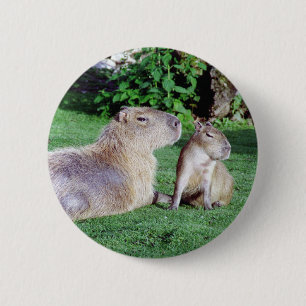 Mamá del Capybara y botón del hijo