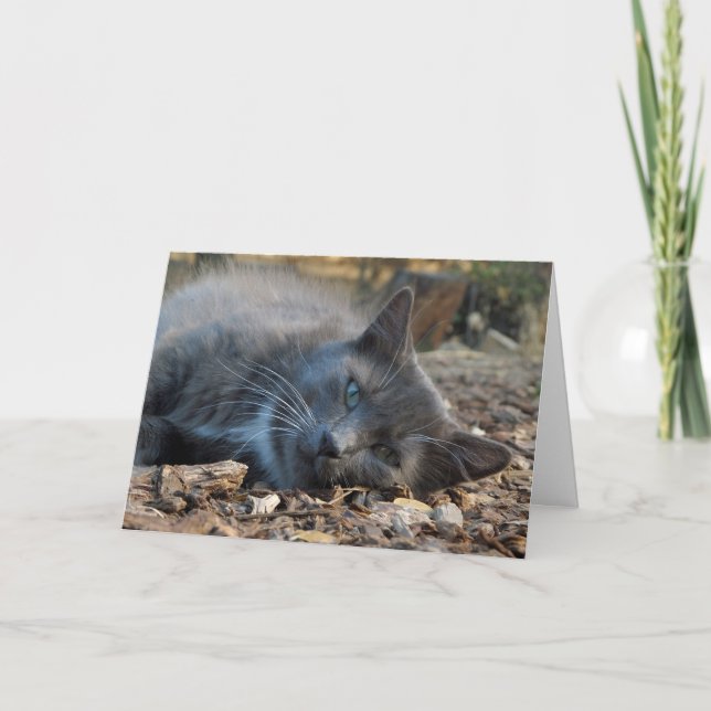 Mamá es la tarjeta del día de un gato adorable y a (Anverso)
