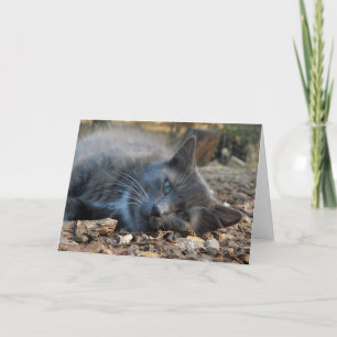 Mamá es la tarjeta del día del gato adorable de am