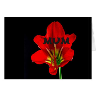 Mamá floral roja